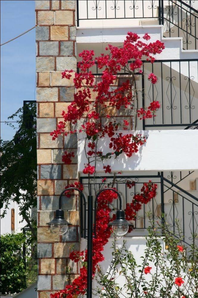 Agar Apart Hotel Gumbet Exterior photo